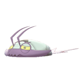 Buy Shiny 6IV Wimpod